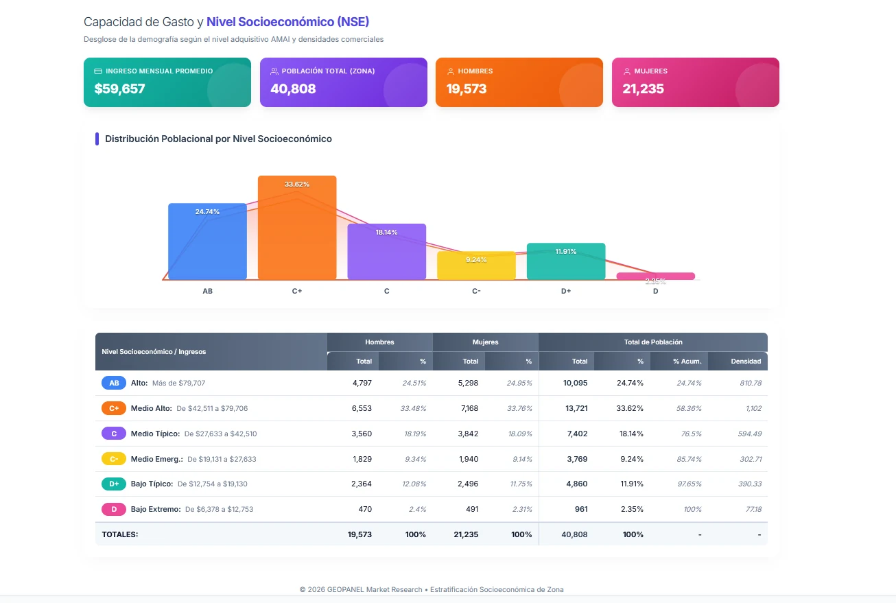 Reporte de capacidad de gasto y nivel socioeconómico para GeoPanel API